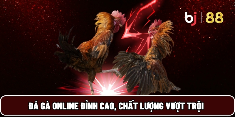 BJ88 20 Đá gà online đỉnh cao, chất lượng vượt trội