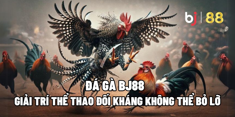 Đá Gà BJ88